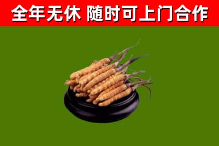 永寿县烟酒回收冬虫夏草.jpg